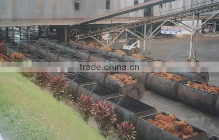 palm oil production line with extraction refinery and fractionation processes
