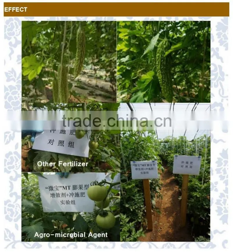Multifunctional Agro-microbial Agent