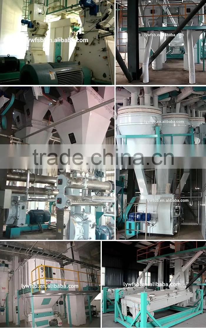Poultry feed product line for chicken, duck, goose, layer, hen...