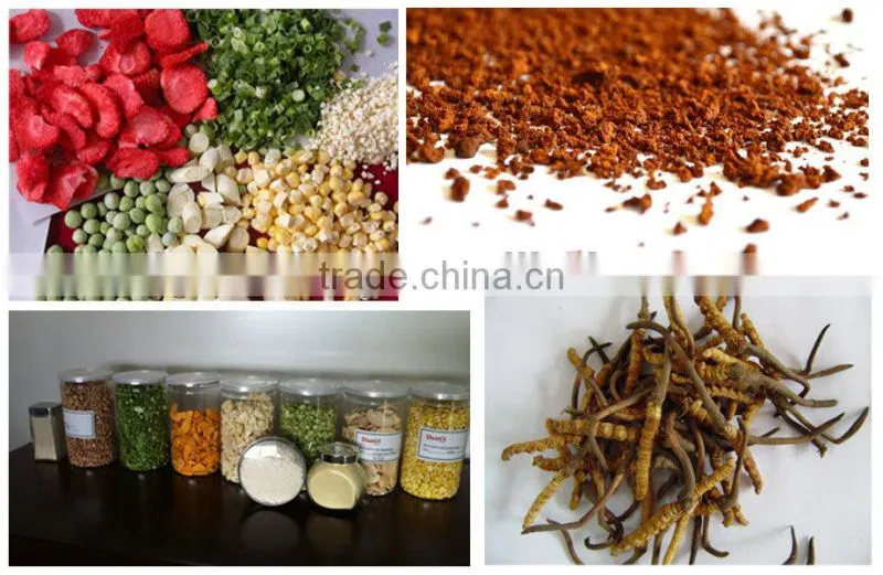 Quality Warranted Food Processing Machinery Fruit Lab Vacuum Freeze Dryer
