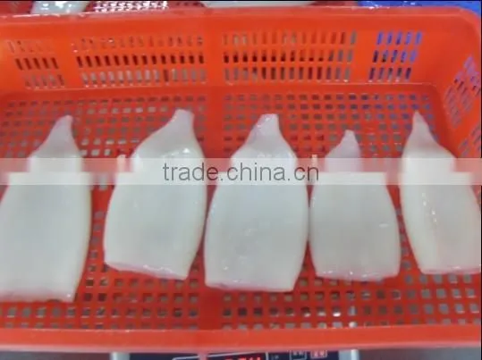 high quality clean chemical treated illex squid tube