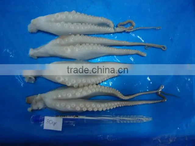 frozen Baby Octopus