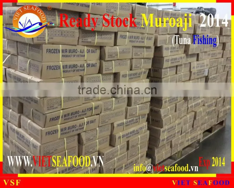READY STOCK FOR SUPPLY MUROAJI FOR TUNA BAIT