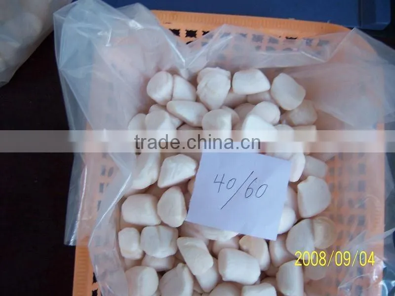 Frozen Scallop Meat,IQF