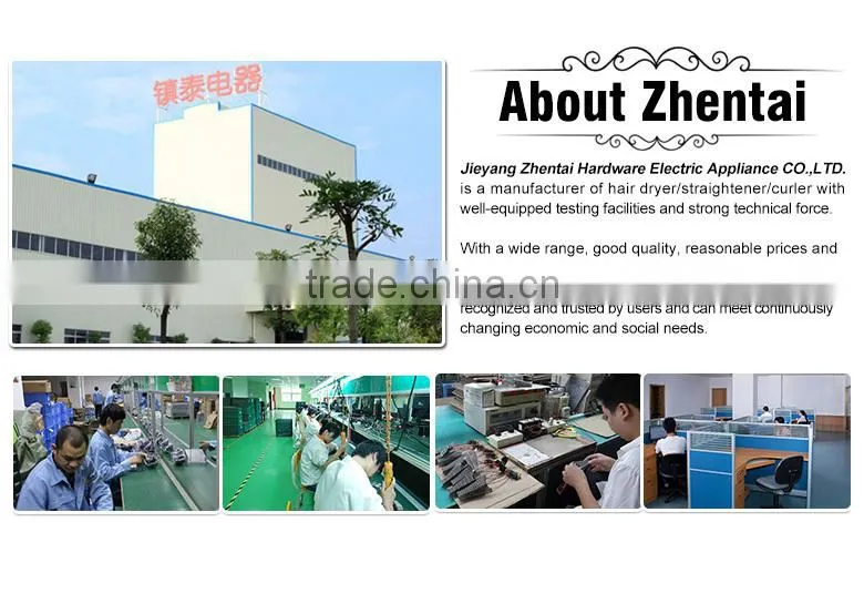 Household Hair Dryer Resistance Blow Dryers DC Motor Hairdriers ZT-3357