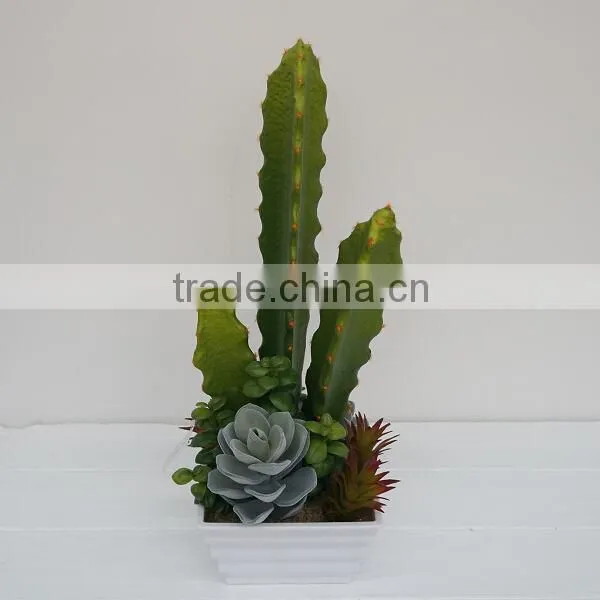 Artificial succulent plant Selling Infoor Artificial Flowering Cactus Plants