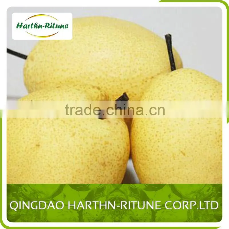 apple fruit red fuji apple