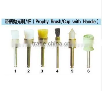 Dental Disposable Prophy Cup/Dental Prophy Cup