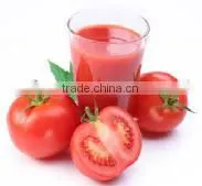 High Efficiency Food Mashing Machine