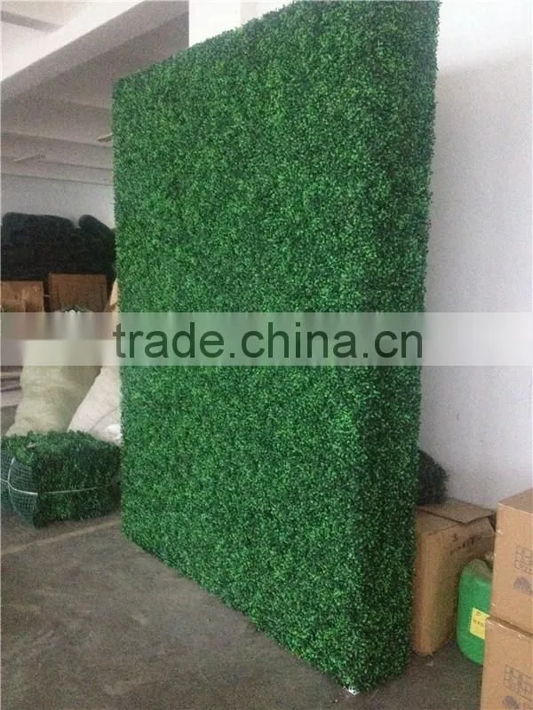 high quality artificial boxwood hedge /fence for decoration