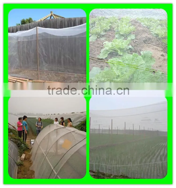 virgin hdpe farming anti insect nets