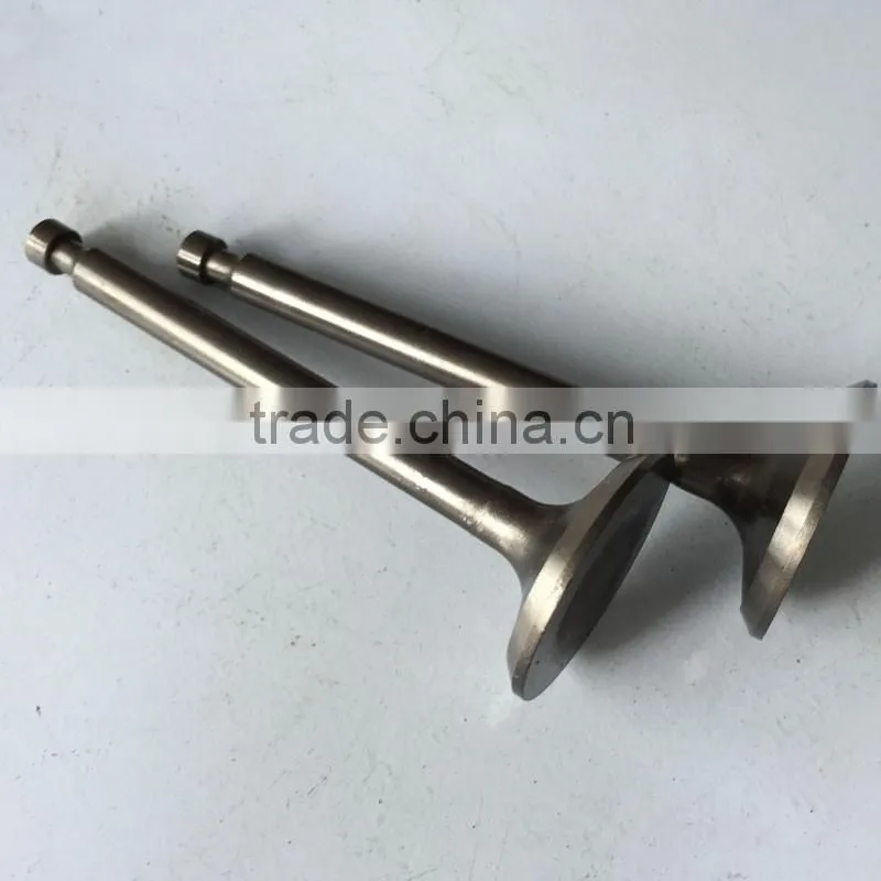 188F BISON China Taizhou Exhaust Valve, Valve Exhaust, Engine Valve