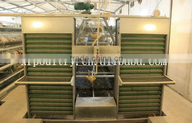 Turnkey project professional automatic poultry chicken farm house