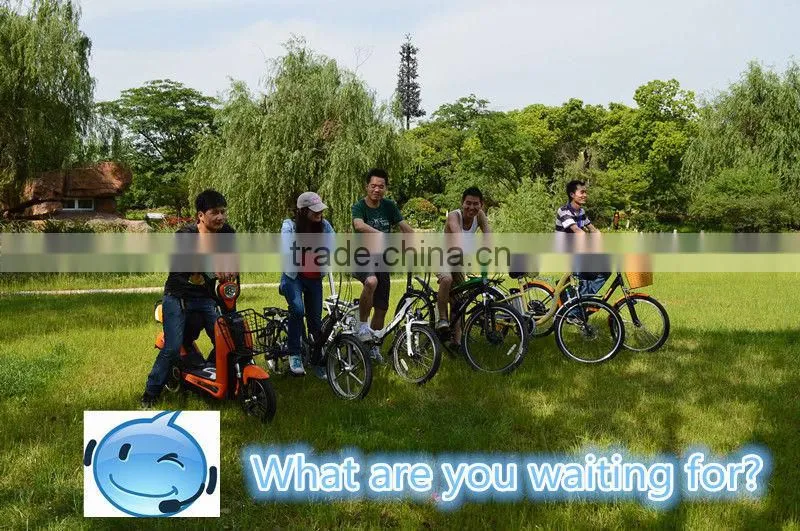 2015 fat tyre two wheels motor 48V 500W beach bike cruiser electric bike (HP-E015)