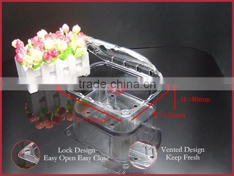 APET Plastic Fruit Box Disposable with Lid Vens DY-H1200 Transparent