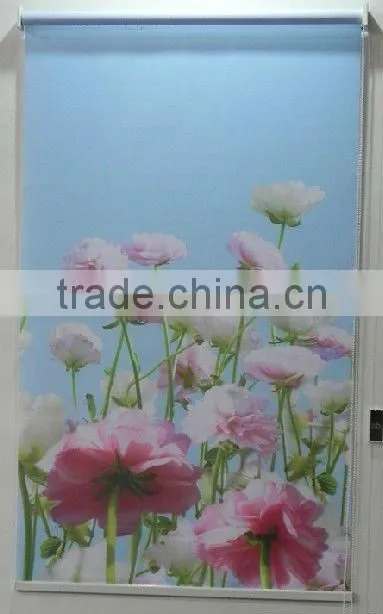 Pictured Roller Blinds For Children Room