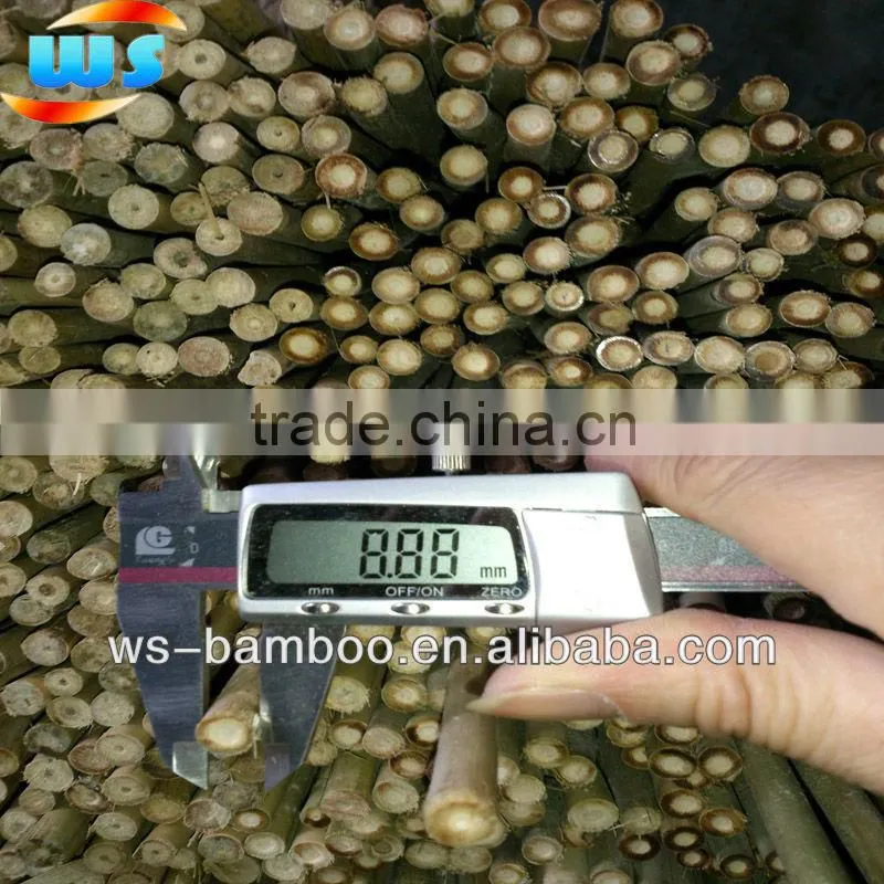 Bamboo Agriculture Products/Bamboo cane support tree WS 60cm 8-10mm