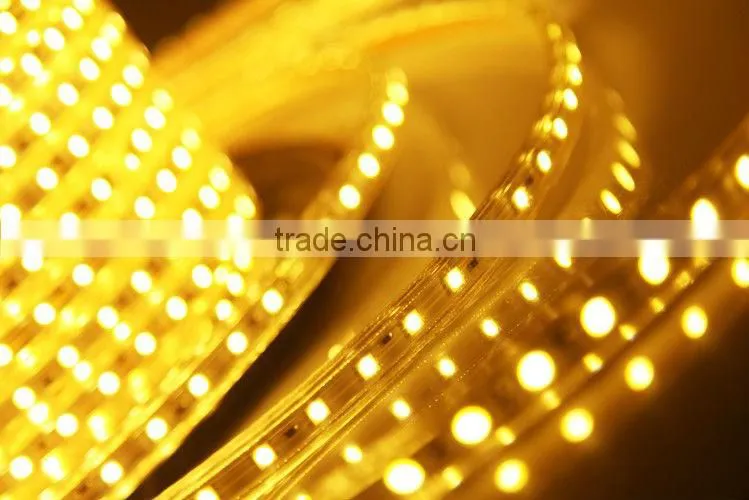 5050SMD 5m/roll Waterproof LED Light Strip 110v or 12v ot 24v