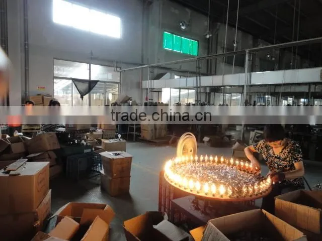 G95 Edison Bulb/Edison Light Bulb Clear E27