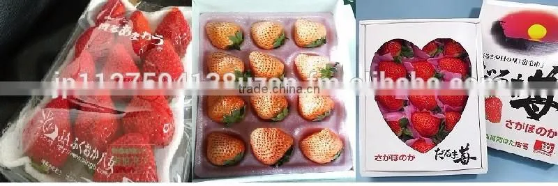 sweet and Japanese apples mixed fruit , other fruit also available