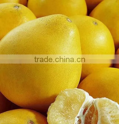pomelo