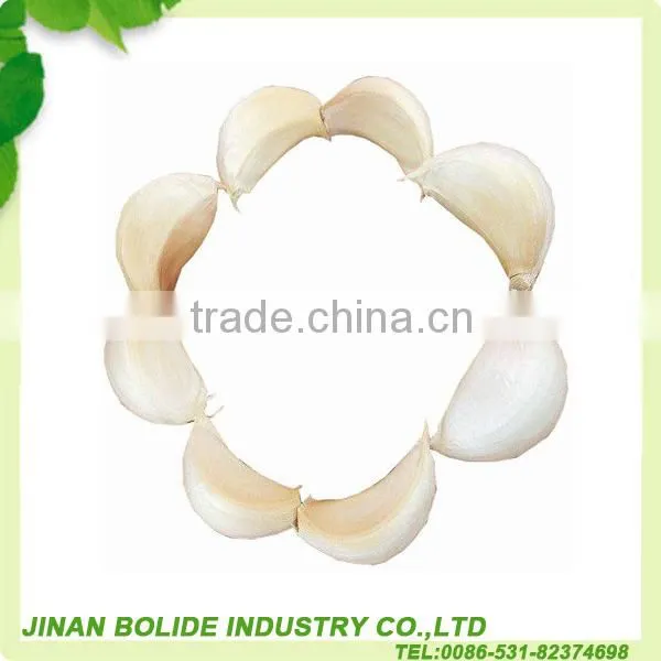 chinese natural garlic supplier