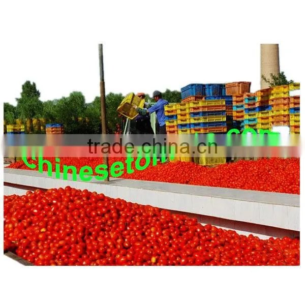 tomato paste with red color