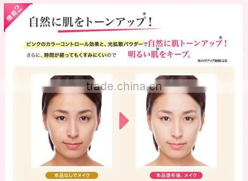 Steins Pink Primer Makeup Base Cover Pores and Wrinkles Japan Made
