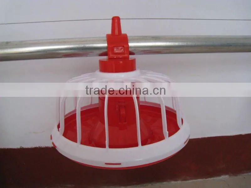 easy feed systems for poultry