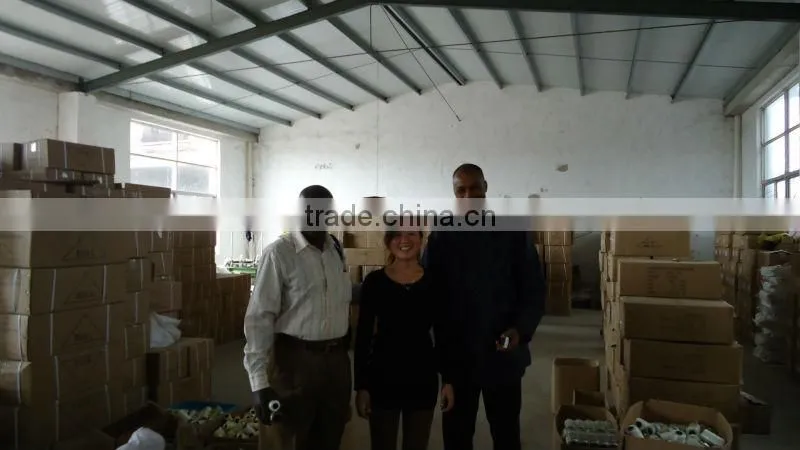 customization high grade durable polyester yarn( FDY)