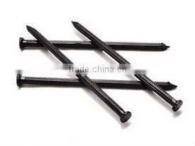 common iron nail