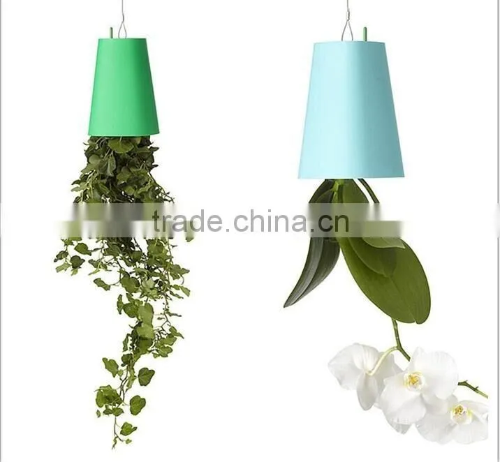 Plastic Sky Planter Creative Decorative Home Mini Sky Garden Flower Pot Beauty Sky Planter