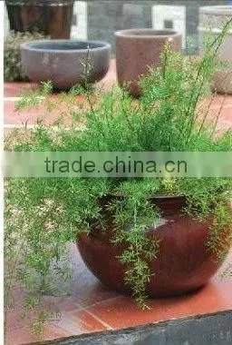 Vietnam handmade indoor flower pots and planters