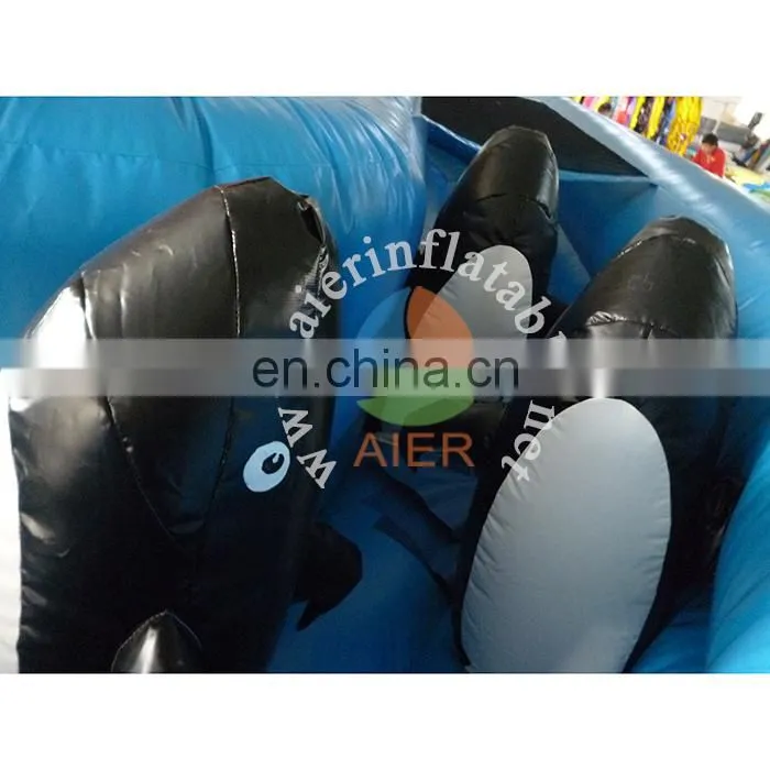 Funny inflatable pirate water slide for kids&adult,giant inflatable water slide,