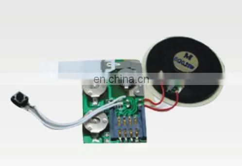 Voice module for gift box