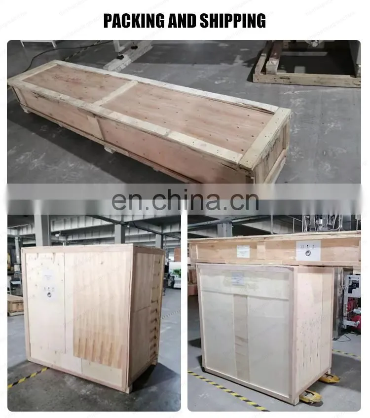 New type servo motor pet toys vermicelli pillow packaging machine