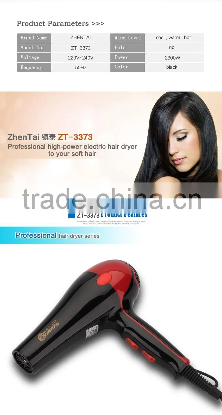 Professional Hair Dryer Fashionable Hair Dryer Student Hair Dryer Wholesale