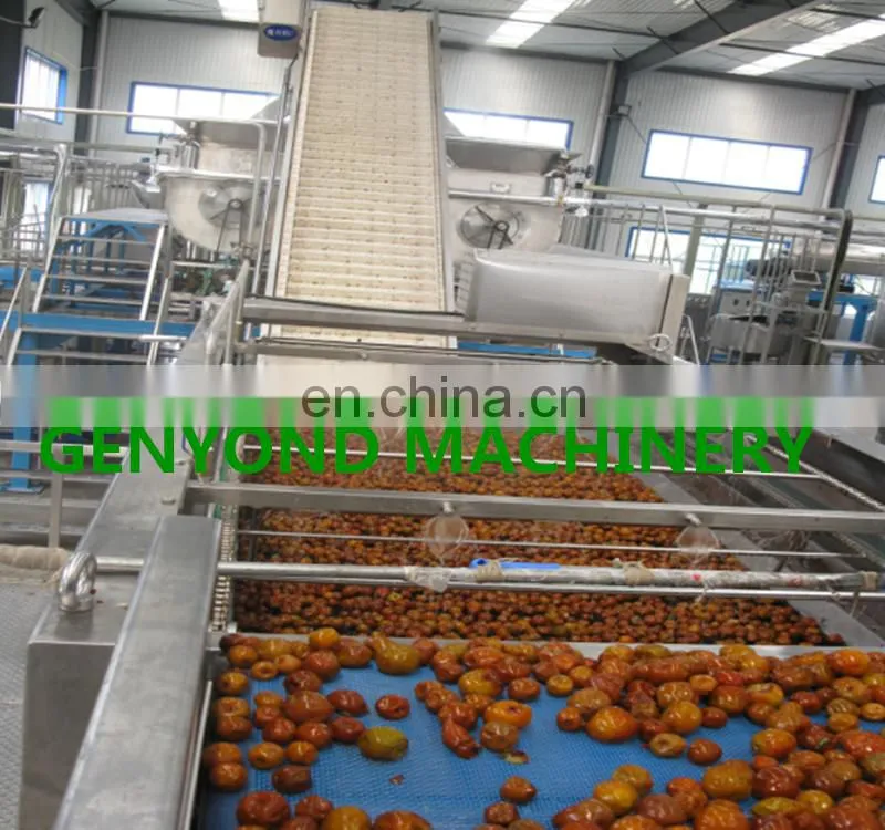 small scale dates syrup processing line