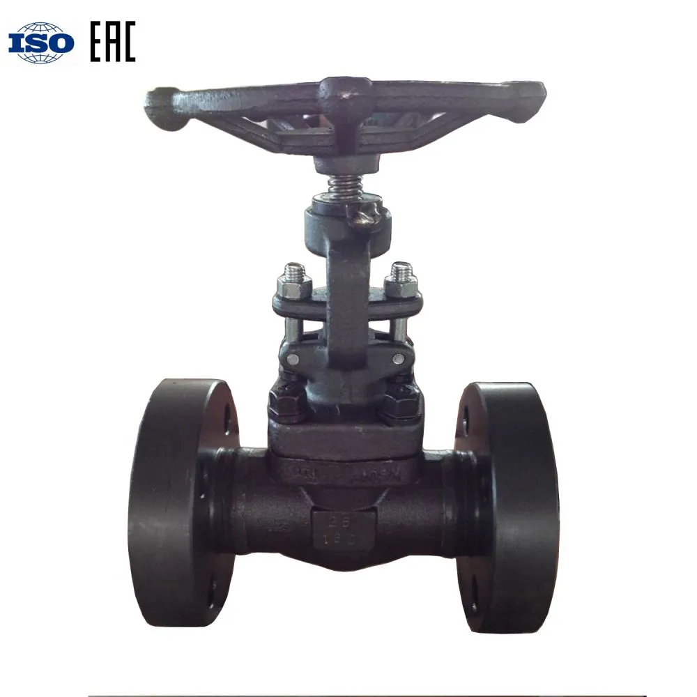 forged gate valve-1iso.jpg