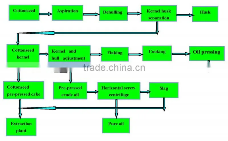 New design 500-1000TPD cotton seed oil production plant with low price