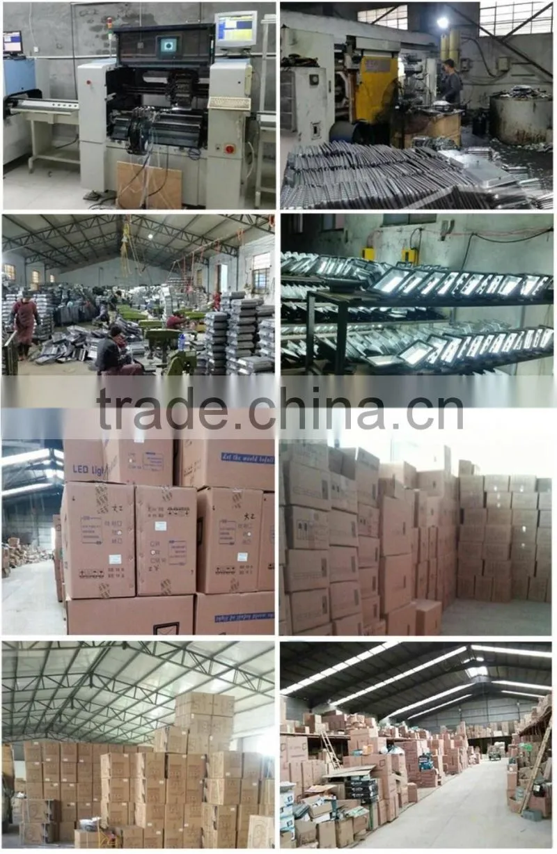 CE RoHS Hot Sale Outdoor Waterproof 100W Led Flood Light