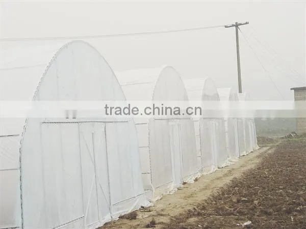 anti dripping poly tunnel greenhouse
