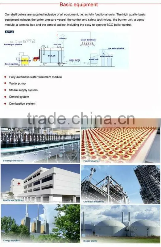 Natural Gas Biogas Combi Boiler Steam Boiler