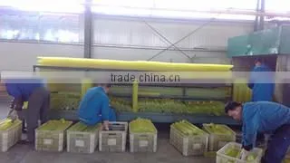 Zibo Hengjiu PU Technology Co., Ltd. company overview - view 4