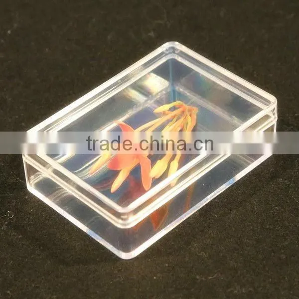 Transparent Plastic PS Box &White ABS material box