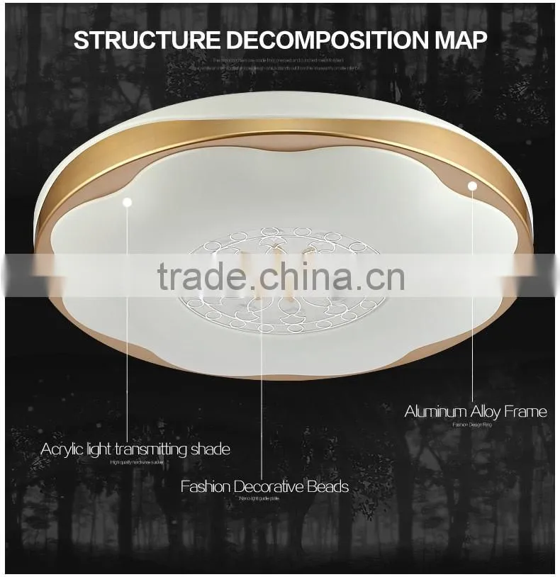 2016 New design modern ceiling light led ceiling light round with art design
