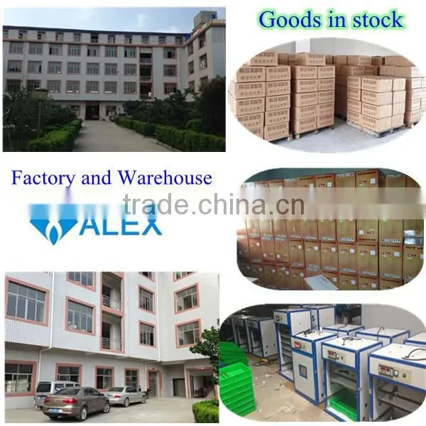 China Made High Technology Incubator Egg Turning Motor AI-56S
