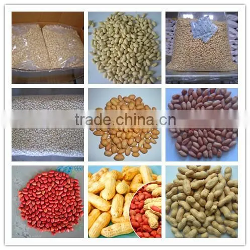 Ju'nan country best quality blanched peanut 24/28 size 25kg/ctn for sale