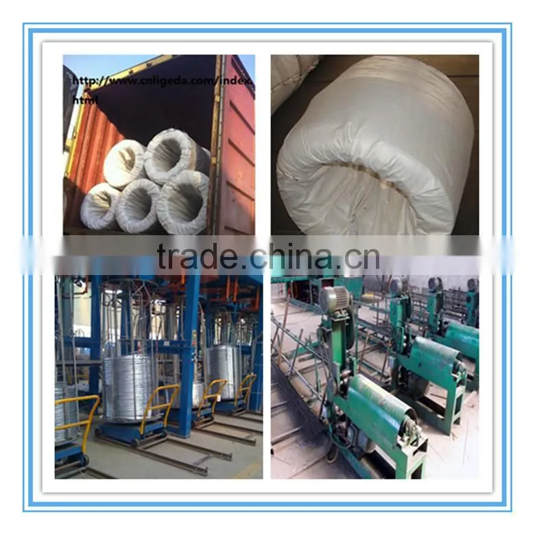 cheap Electro galvanized iron wire