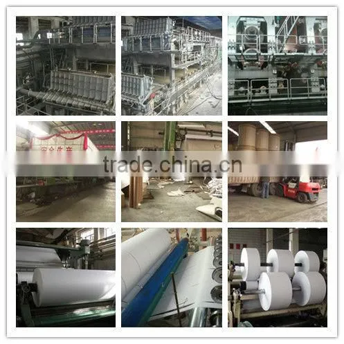 Factory Price Paper Recycling Machine Cost